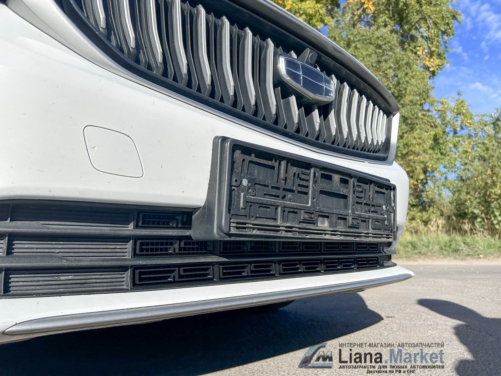 ФОТО Liana.Market VGEMSS Вставки в бампер Geely Emgrand 2023